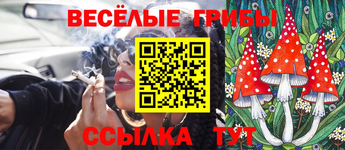 Галлюциногенные грибы мухоморы Лабытнанги