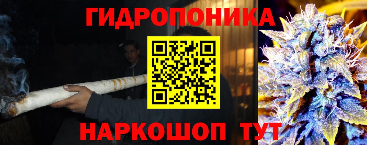 Бошки Шишки гибрид  Конопля план  Бошки Шишки индика  Вход с VPN  Лабытнанги  Бошки марихуана семена 